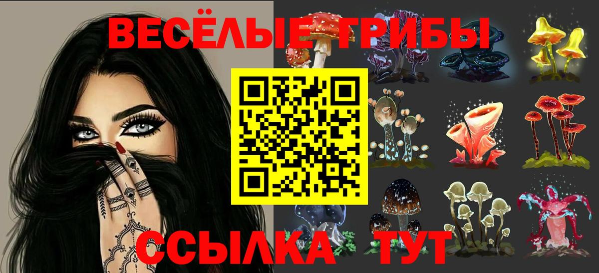 дарнет шоп  Вход с VPN  Владимир  Псилоцибиновые грибы Magic Shrooms 