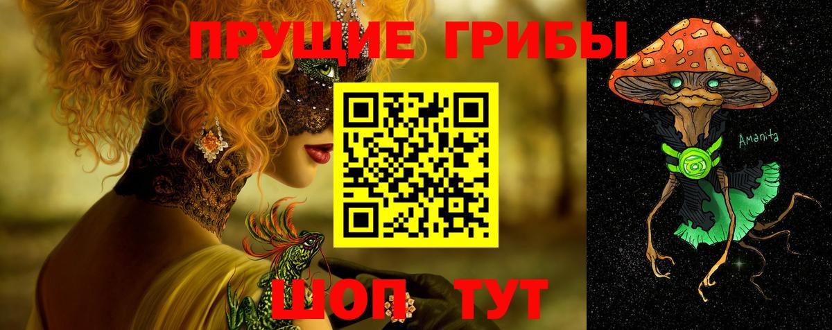Галлюциногенные грибы Psilocybe Владимир